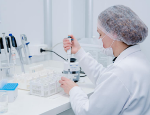 Viveo – Processos Insuma